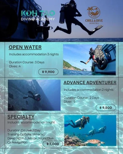 chill&dive hostel – Photos 14